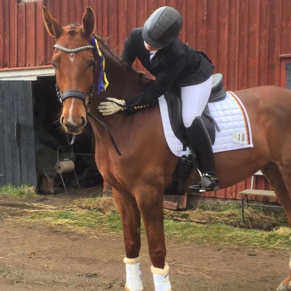 Klicka för att förstora bild