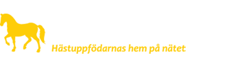 Hemsida för hästuppfödare och försäljningsstall - SvenskaStuterier.se